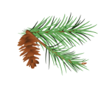 Ashland Parks And Recreation Logo White